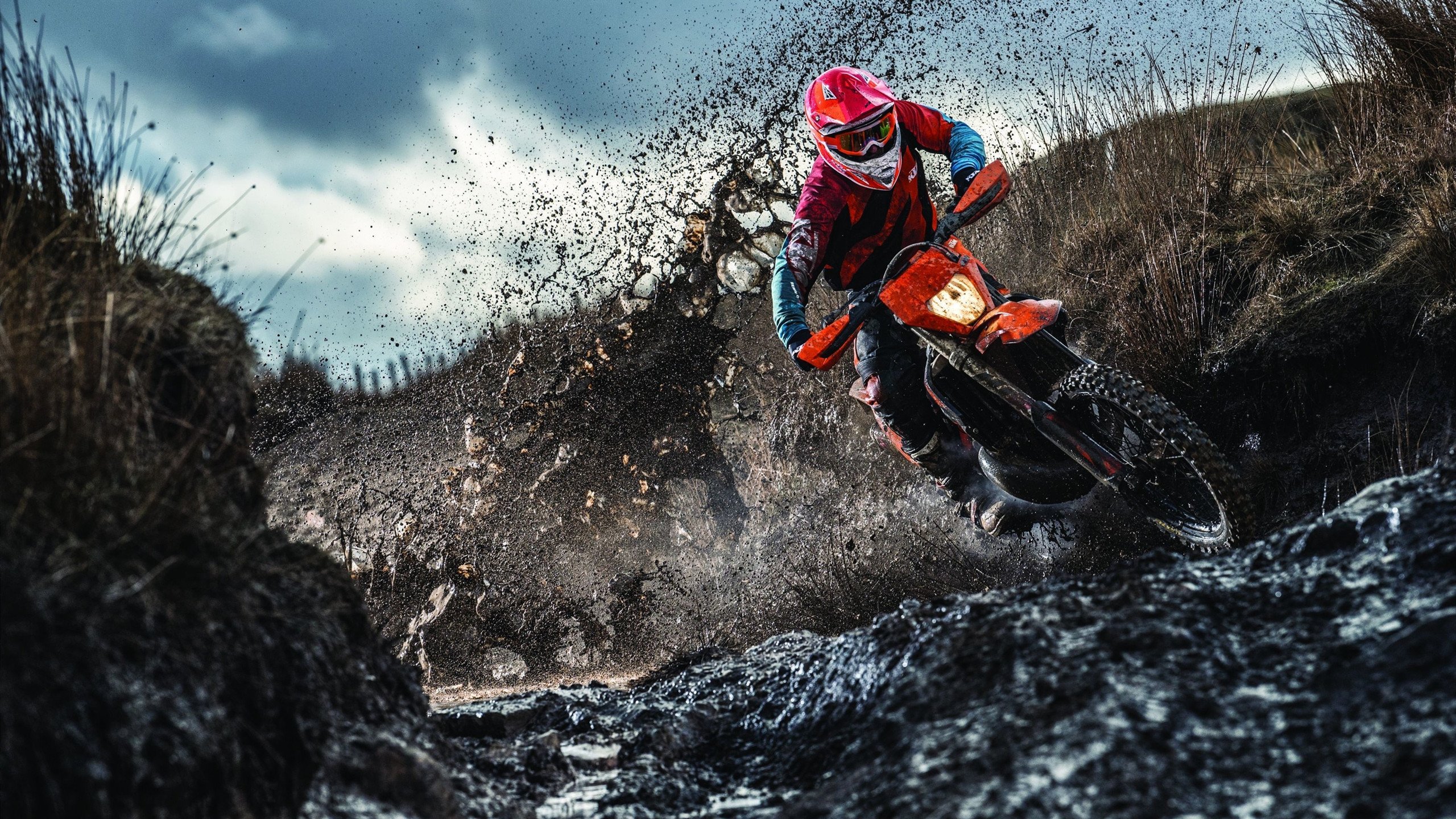 拜仁拟引进南美新秀拓展阵容深度，拜仁南美前锋